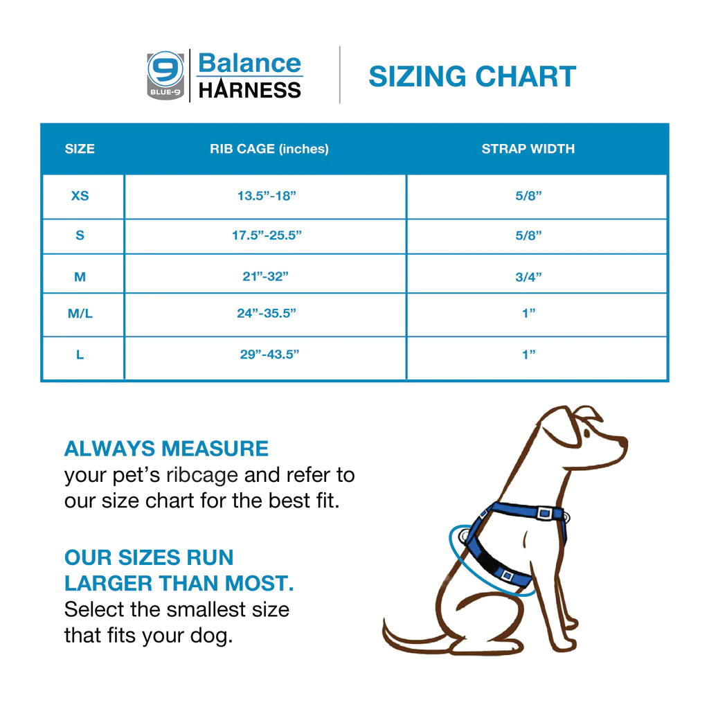 Harness- Balance Harness