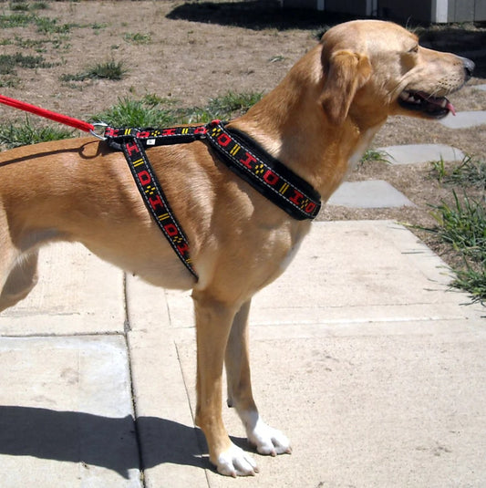 Distance Harness (Shorty) - Howling Dog Alaska