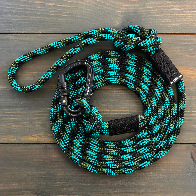 Leash- Caribiner Leash