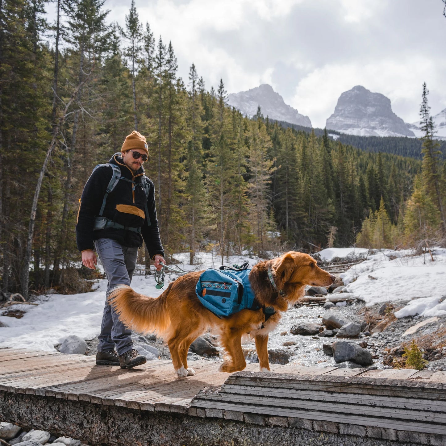 Dog Backpack