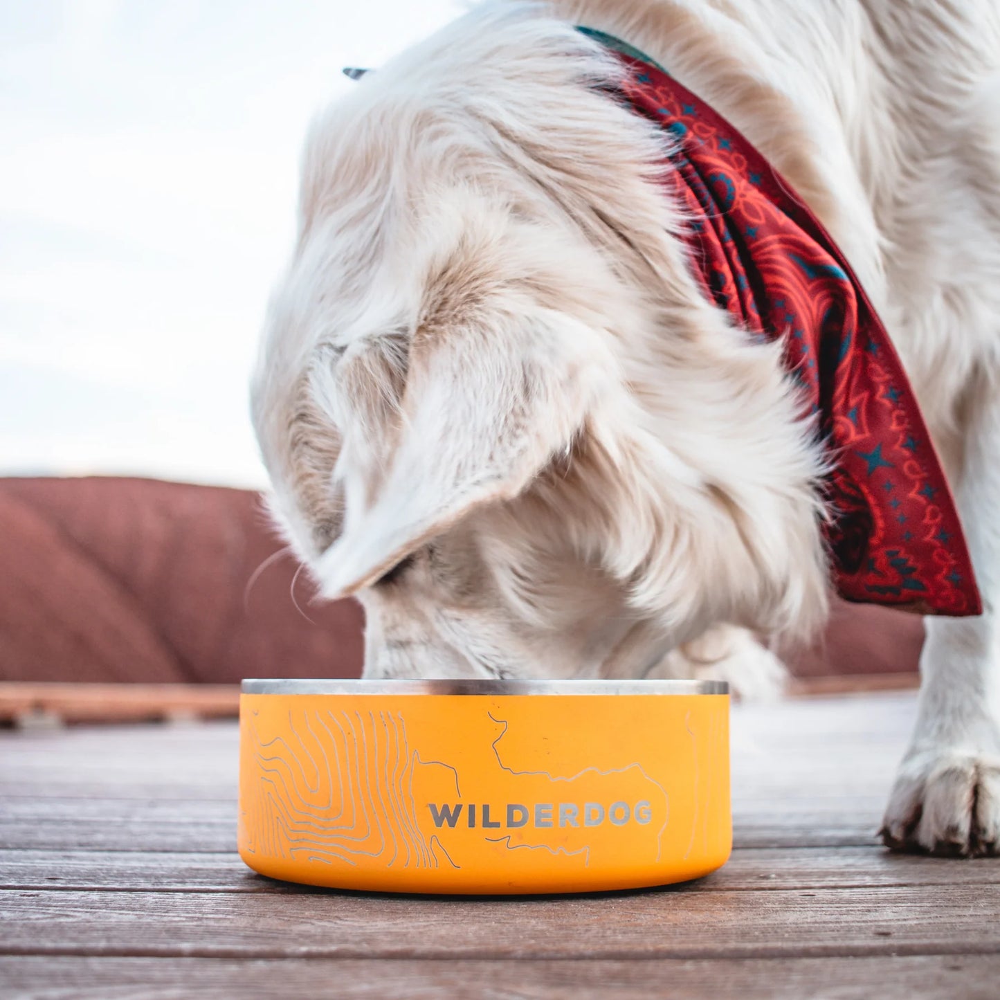 Stainless Steel Dog Bowl