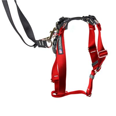 Pro-No Pull Harness