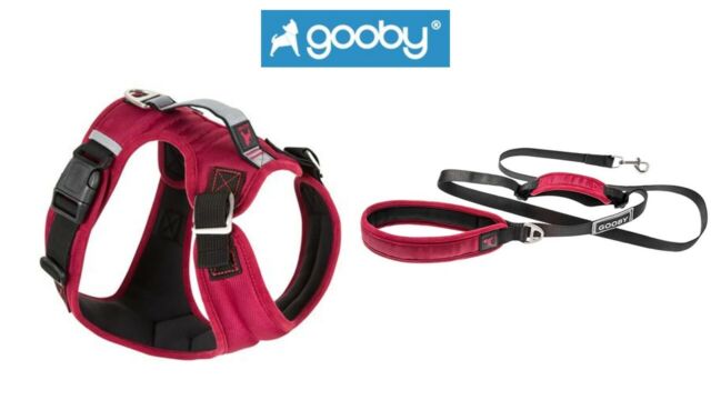 Pioneer Harness- Gooby