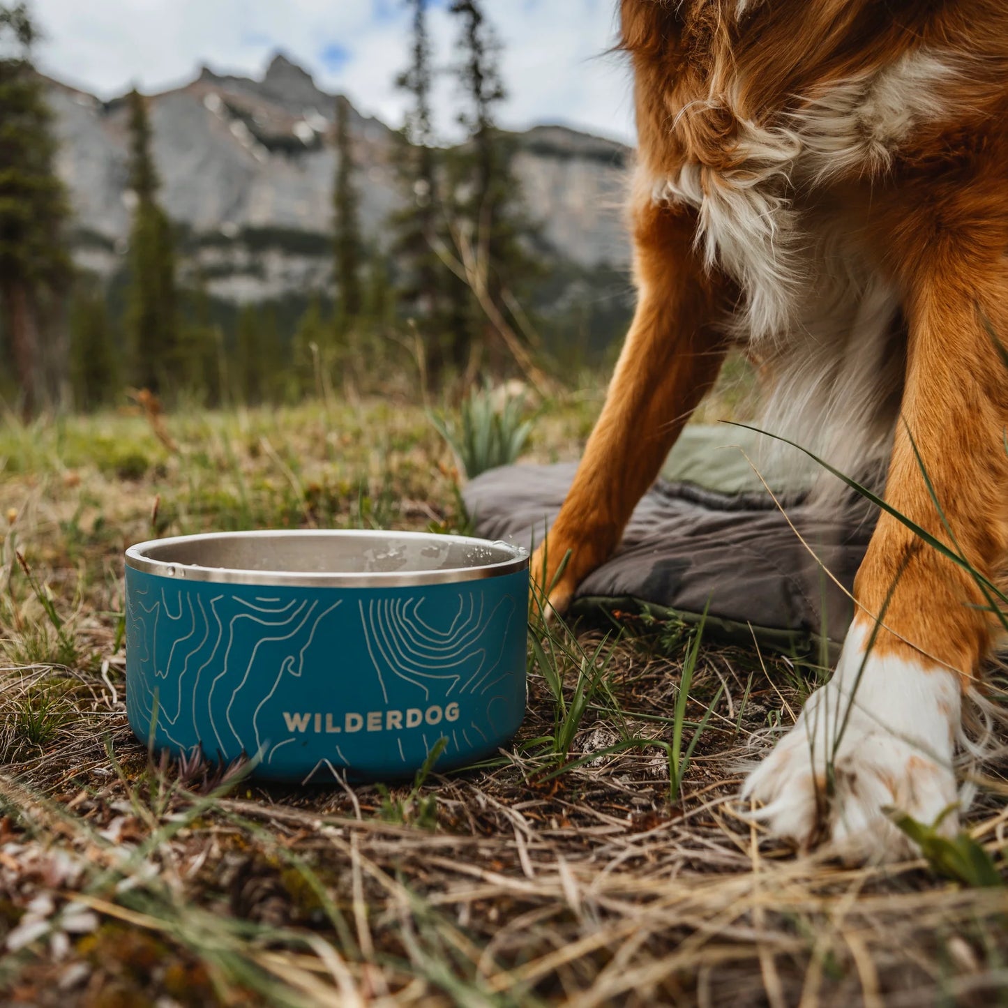 Stainless Steel Dog Bowl