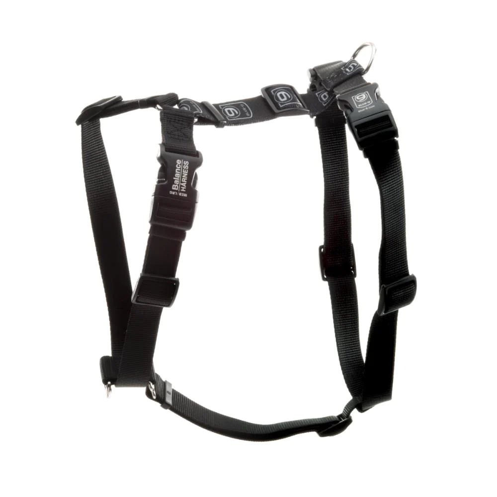 Harness- Balance Harness