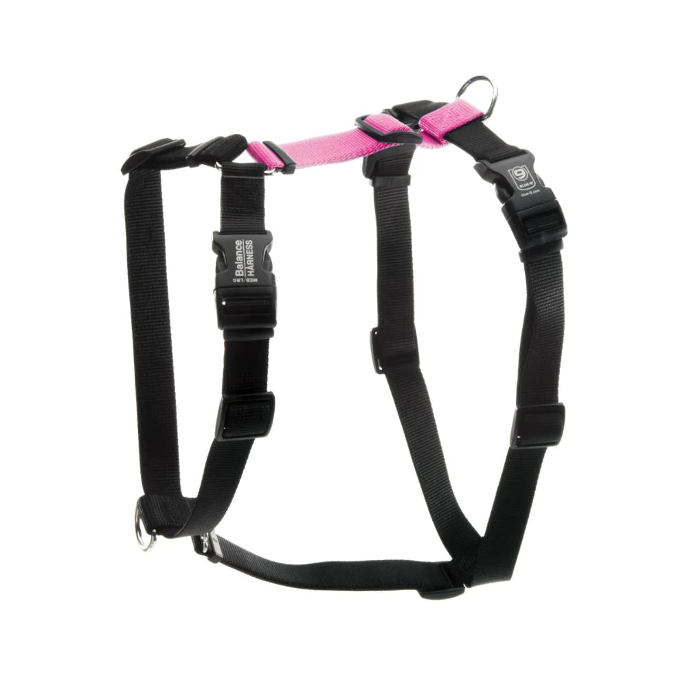 Harness- Balance Harness