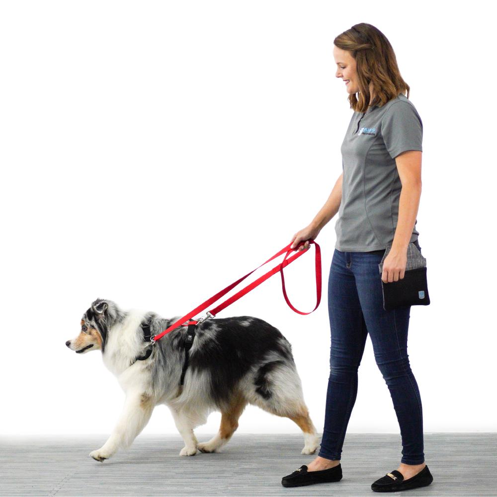 Leash- Blue-9 Multifunctional Leash